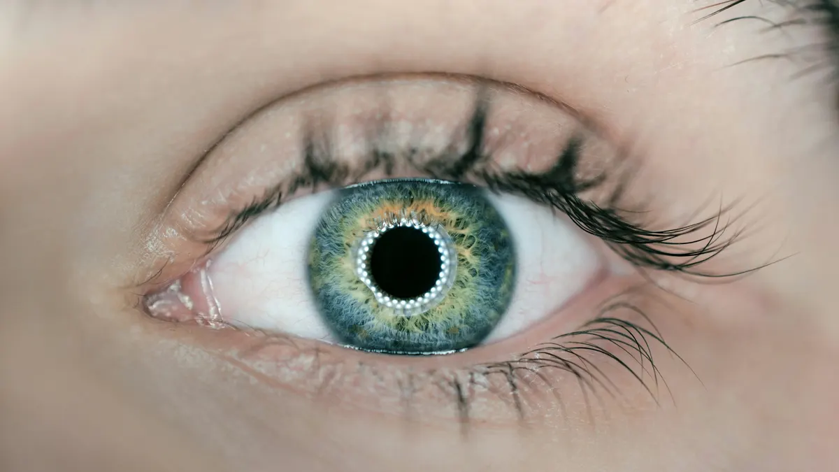 Upper vs Lower Blepharoplasty: What's the Difference?